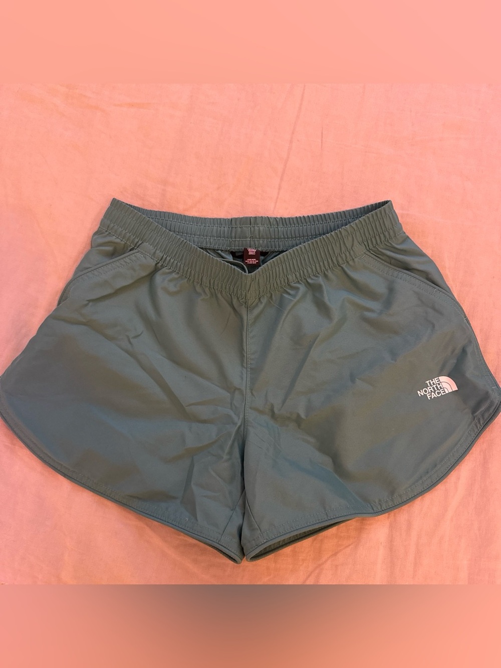 The north face water shorts